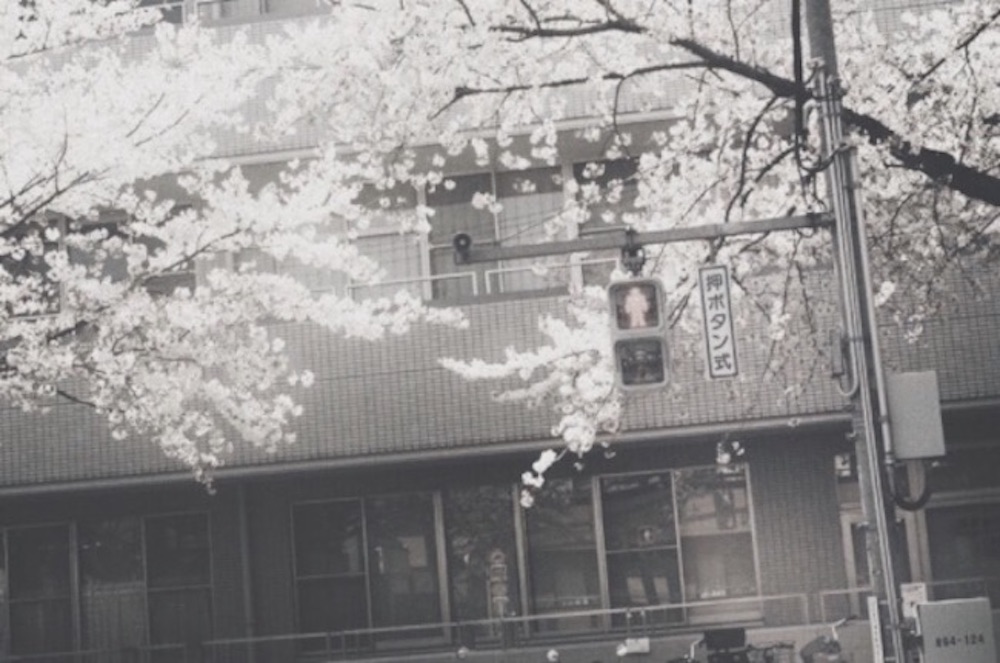 永瀬鈴｜suzu nagase